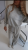 IMG_2460.PNG